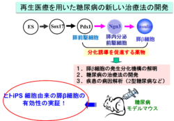 saiseiiryou