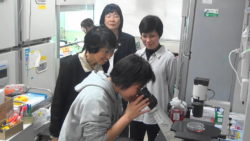 細胞の切片