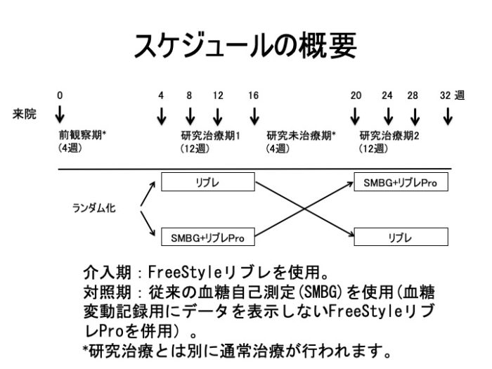 スケジュールの概要