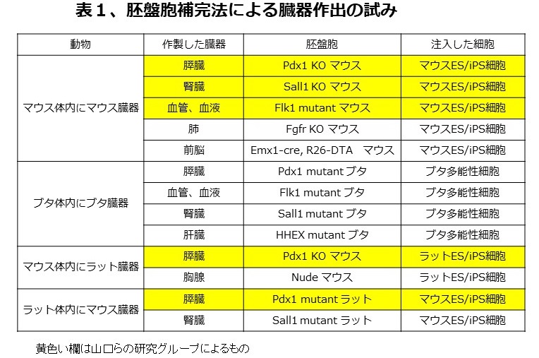 動物の体内でのヒトの臓器作成 日本iddmネットワーク 1型糖尿病 Iddm