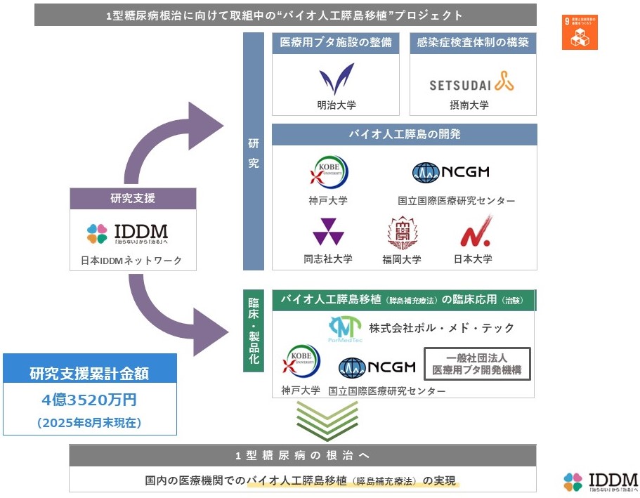 膵臓移植 : 糖尿病根治を目指して 1型糖尿病の根治を目指す「バイオ⼈⼯膵島移植」 研究を支援し