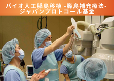 バイオ人工膵島移植-膵島補充療法-ジャパンプロトコール基金